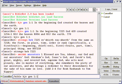 BibleBot screenshot